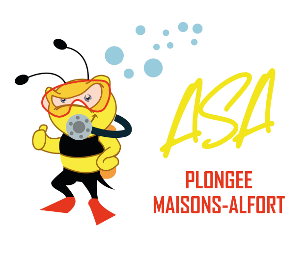 ASA plonge